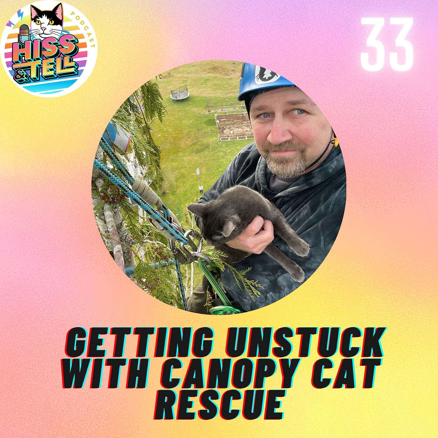 Hiss & Tell: Cat Behavior and Beyond