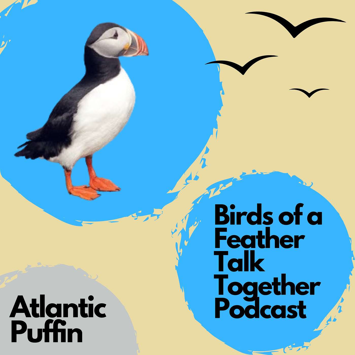 Birds of a Feather Talk Together