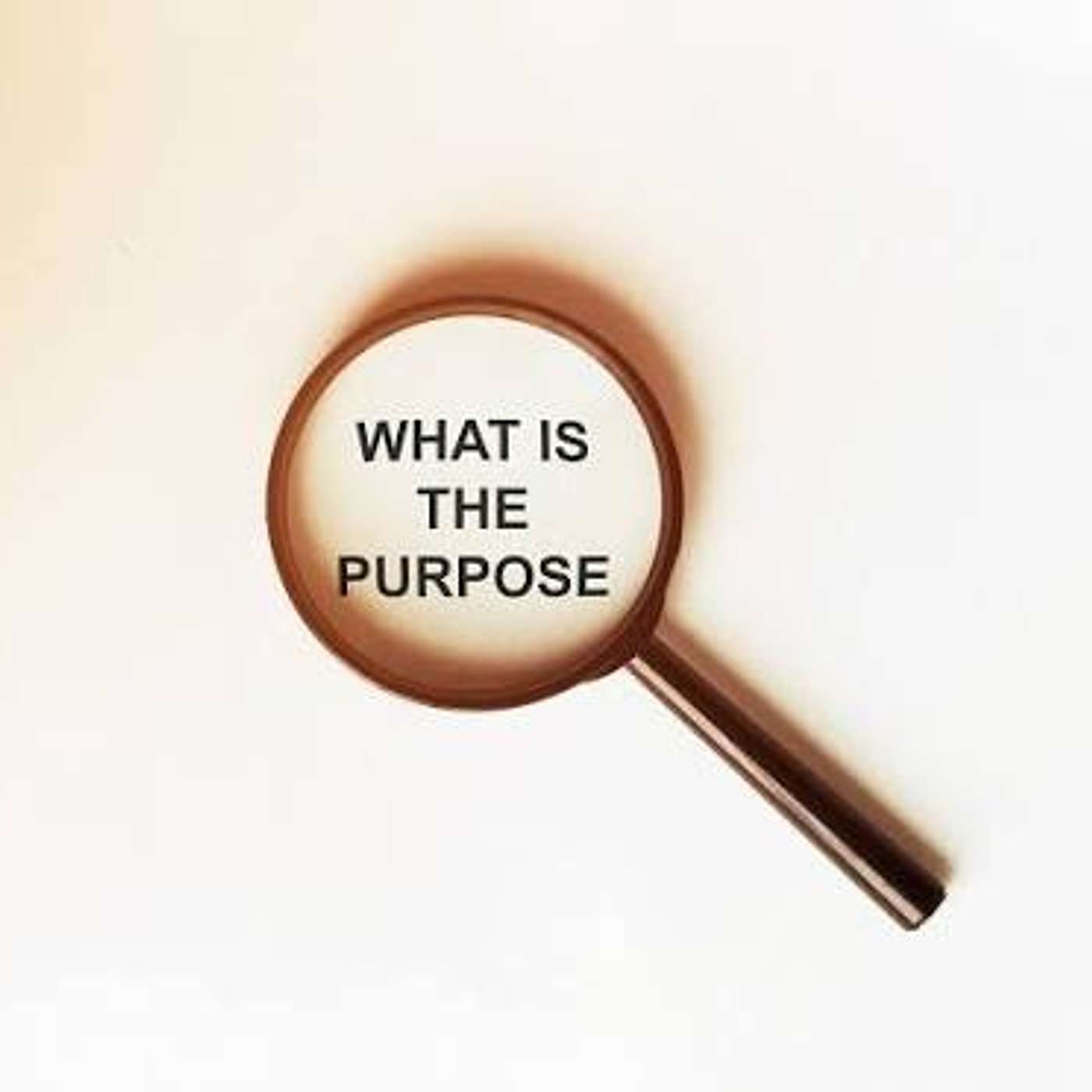S16E12 - What's The Purpose