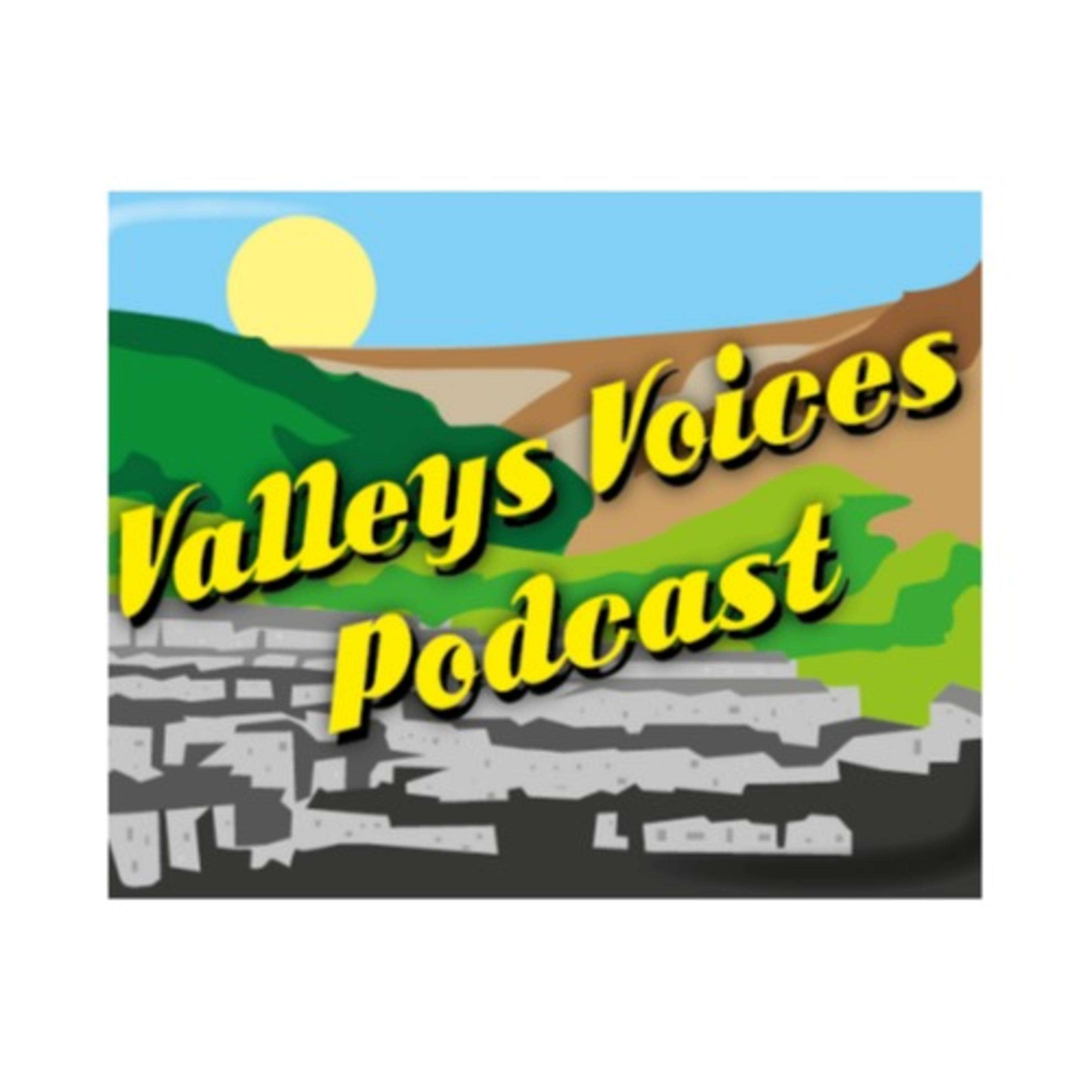 Valleys Voices: Stories about you, about me, about us. cover art