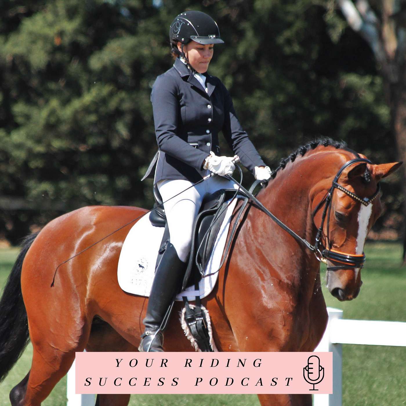 Your Riding Success!!