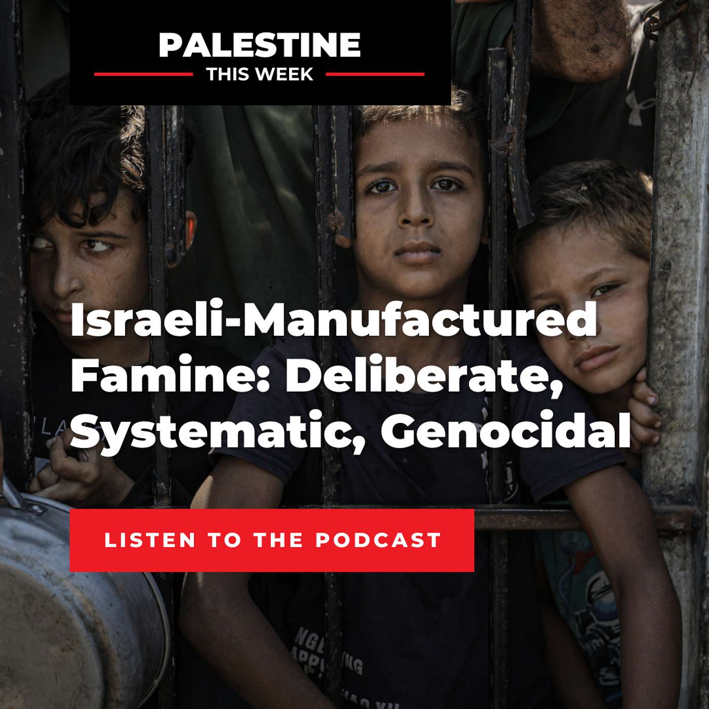 Israeli-Manufactured Famine: Deliberate, Systematic, Genocidal | Palestine This Week with Mouin Rabbani