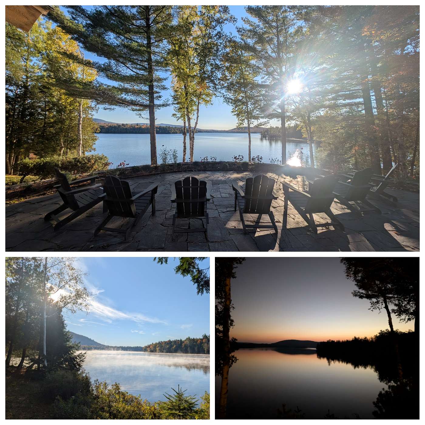 Episode 29: APL & Loons with Max Sun Episode 29: APL & Loons with Max Sun