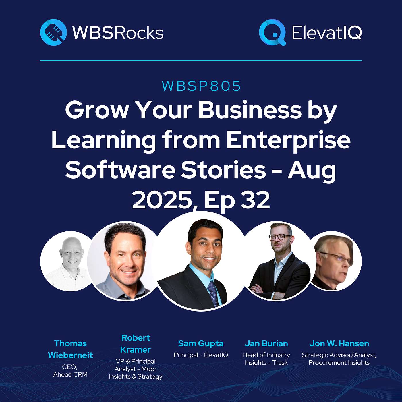 WBSP805: Grow Your Business by Learning from Enterprise Software Stories - Aug 2025, Ep 32, an Objective Panel Discussion