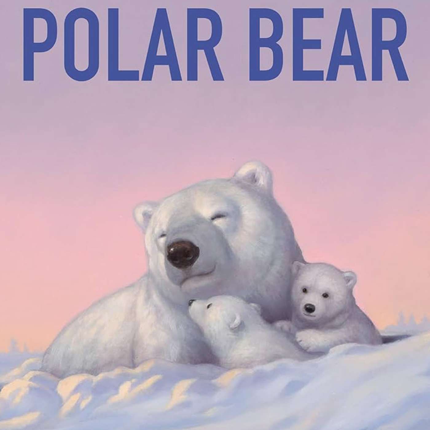 Polar Bear by Candace Fleming