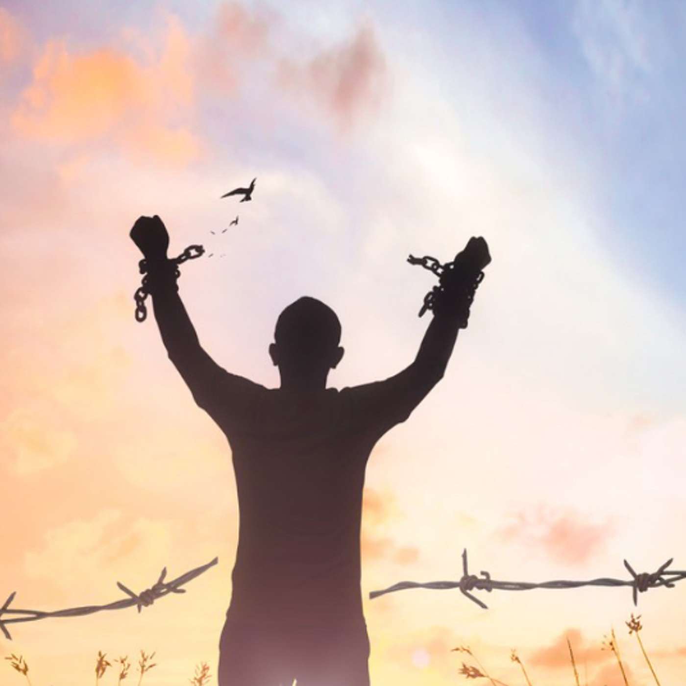 Emotions Navigating Life