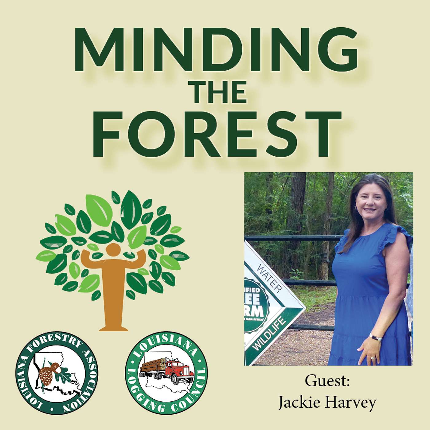 Minding the Forest