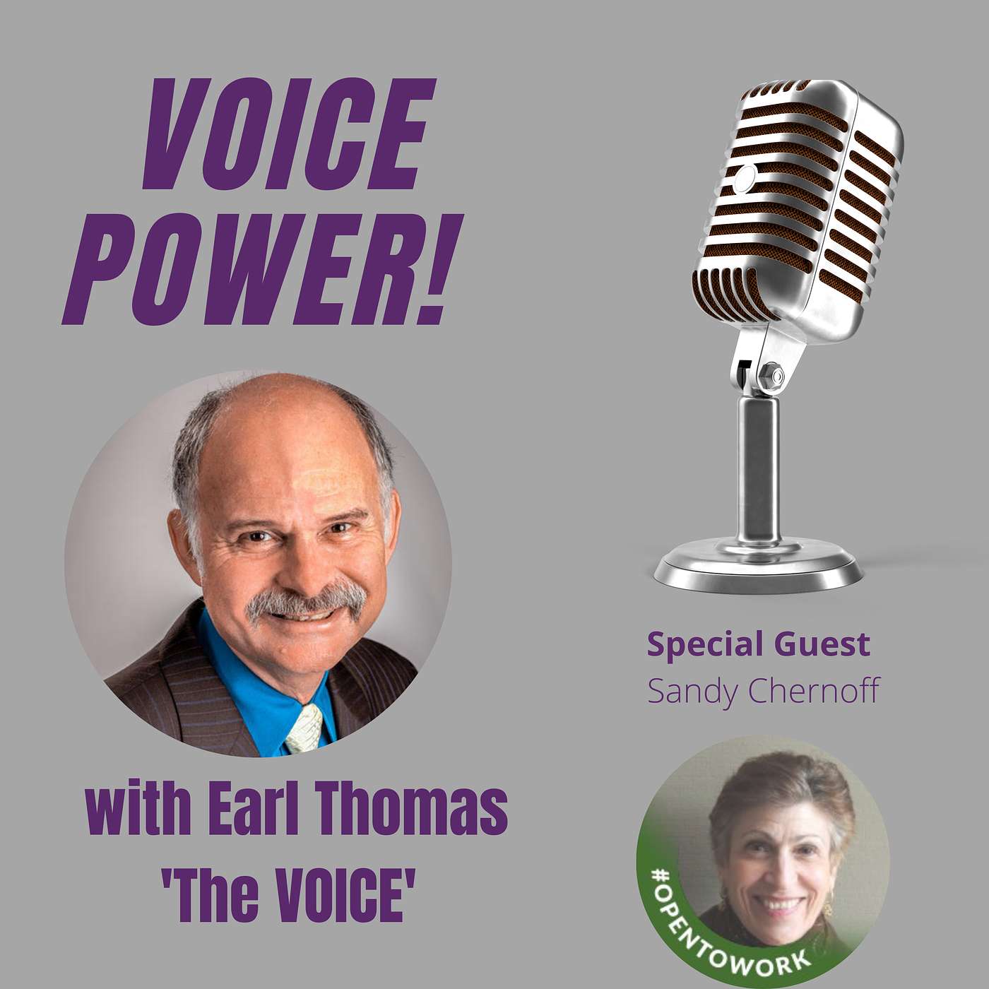 VOICE POWER