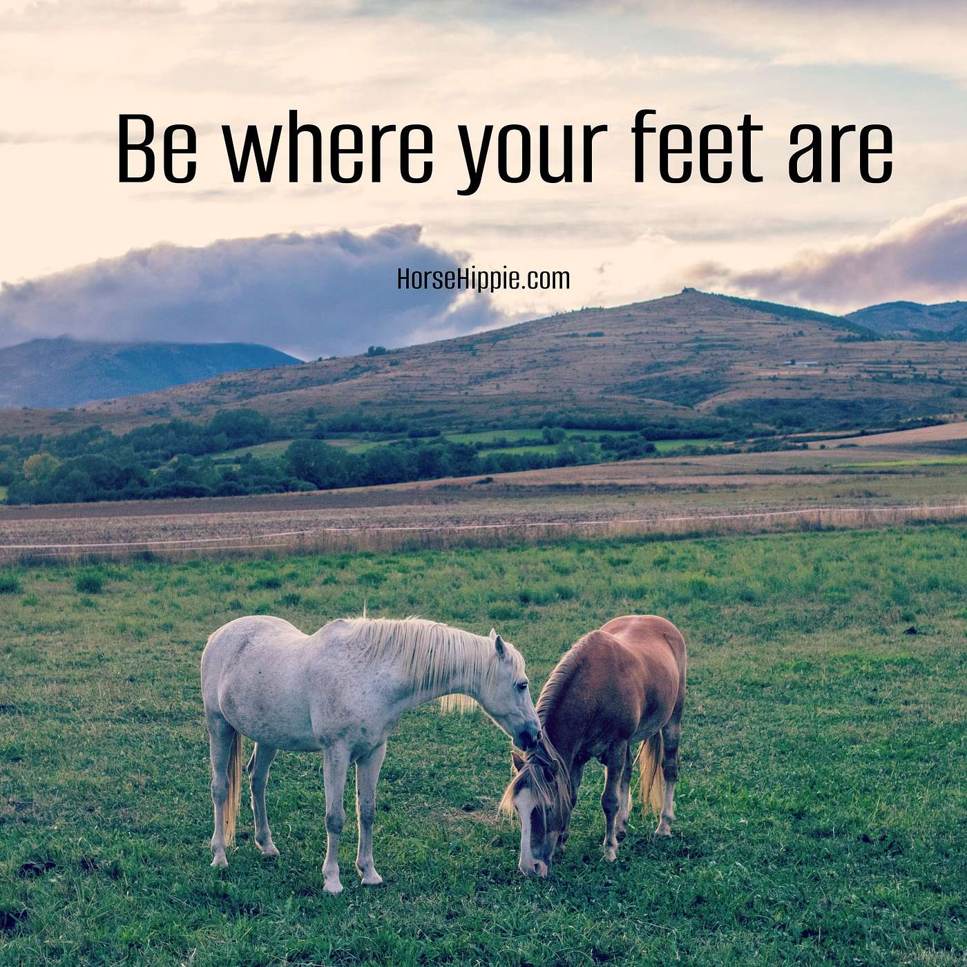 Your Life is Your Spiritual Path