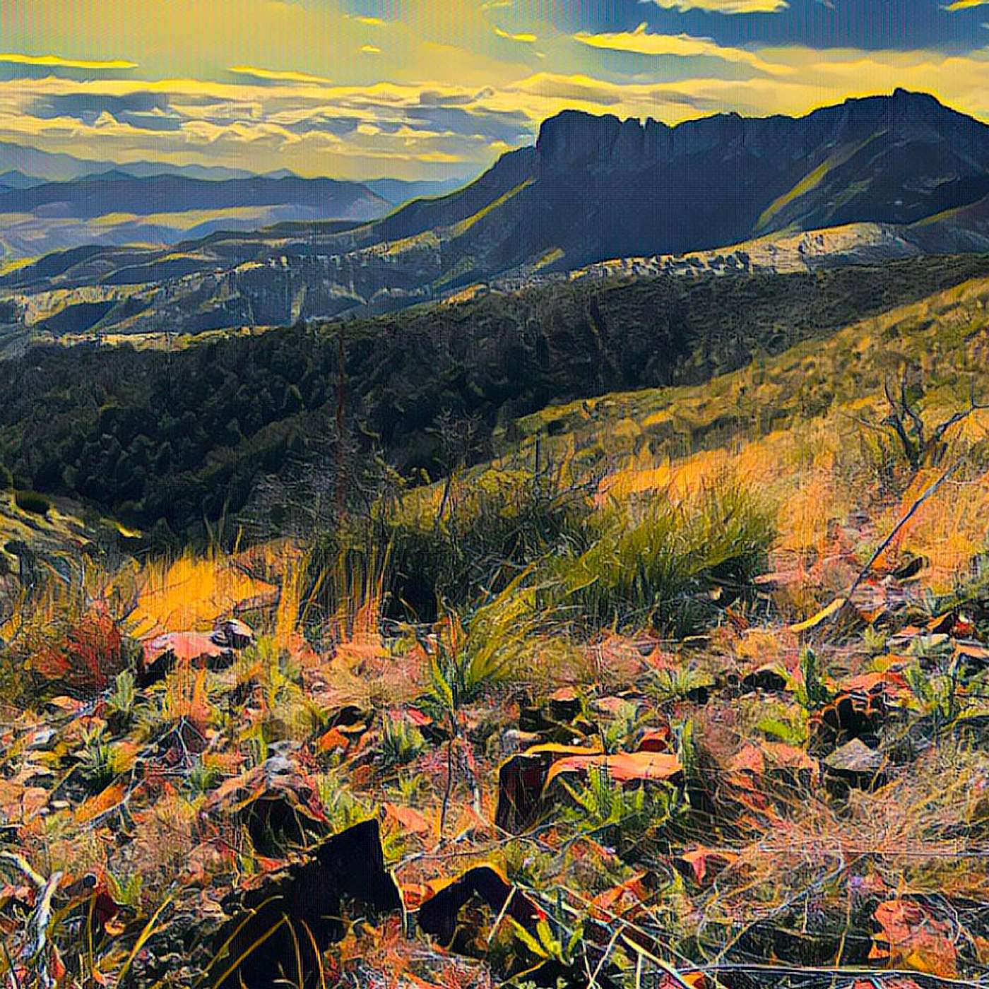 Arizona Trail: Rocky Road to Roosevelt Lake