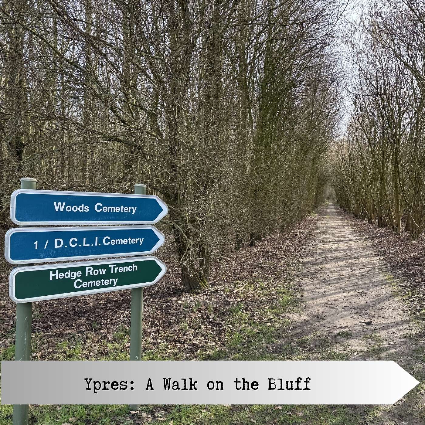 Ypres: A Walk on The Bluff
