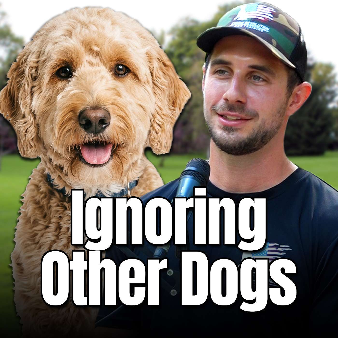 #153 Social Neutrality Dog Training: How to Teach Your Dog to Ignore Other Dogs
