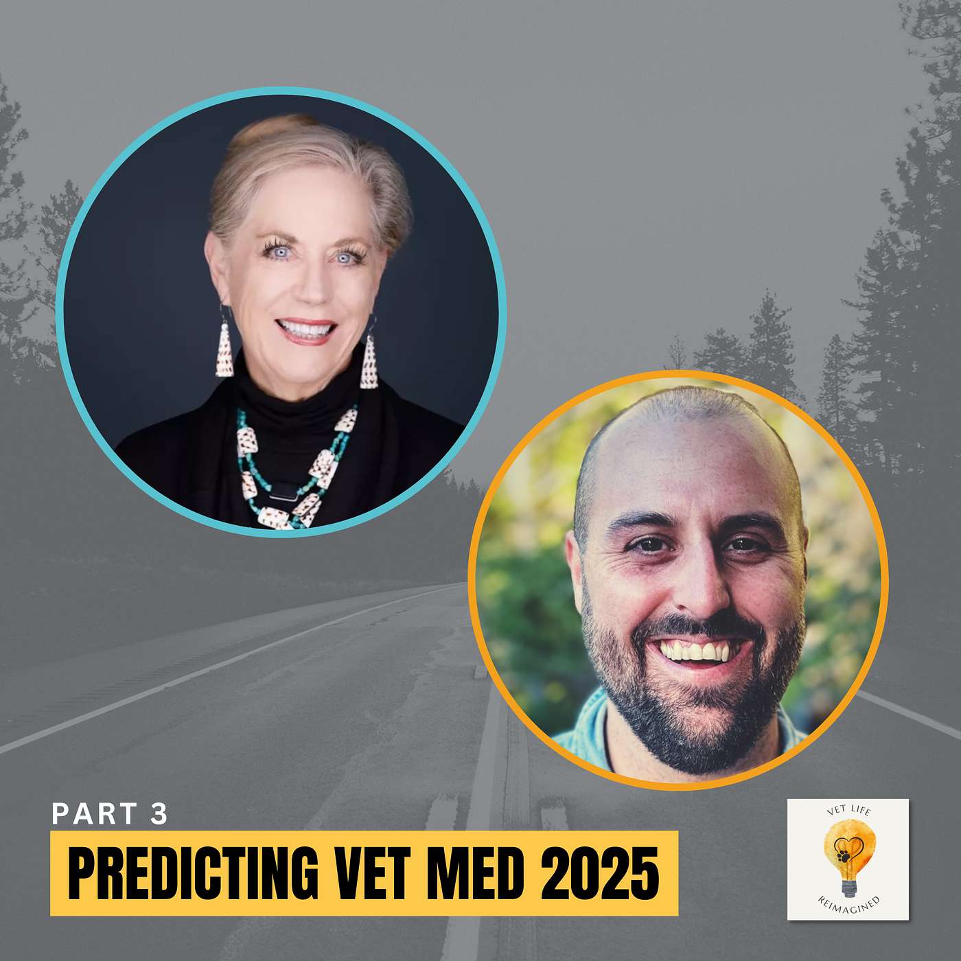 2025 Trends Part 3: Veterinary Education & Deeper Dive into Veterinary AI episode artwork