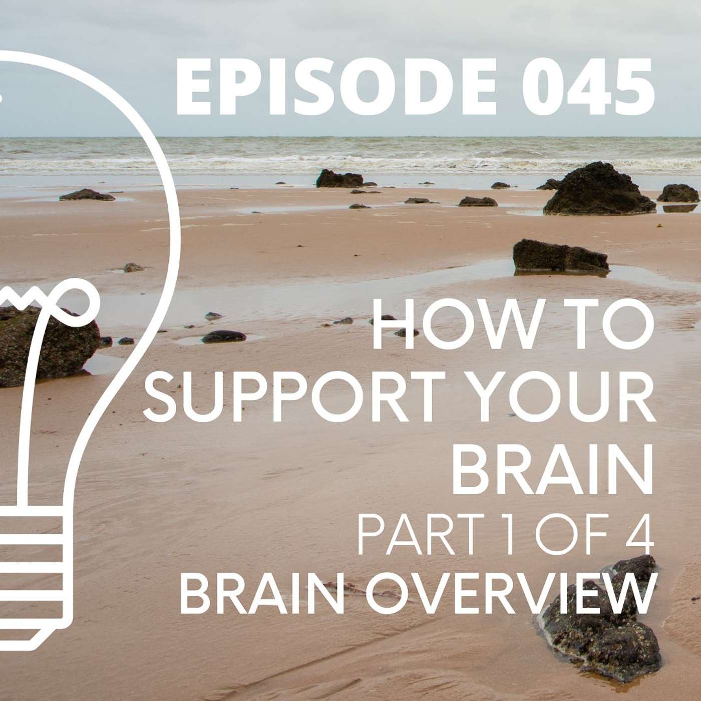 045 - How to Support Your Brain - Part 1 of 4 - Brain Overview