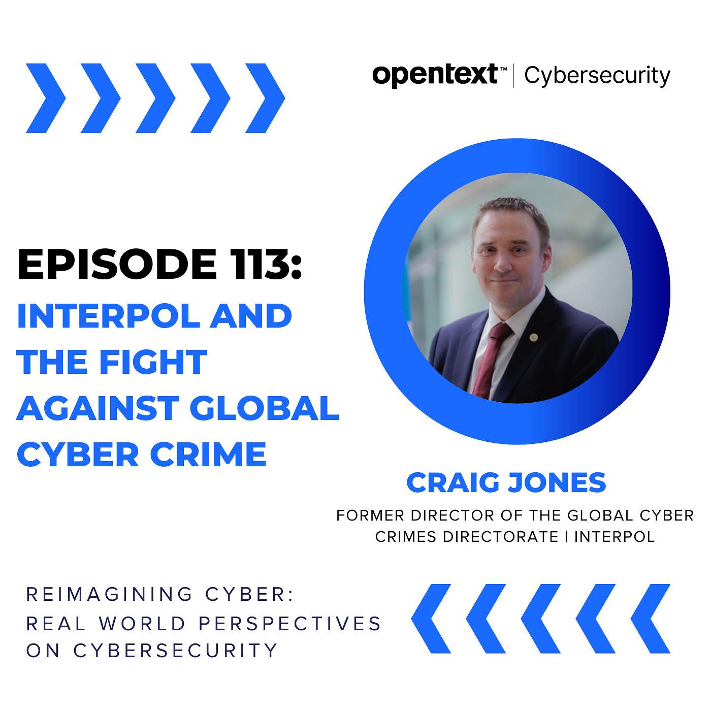 Interpol and the Fight Against Global Cyber Crime  - ep 113