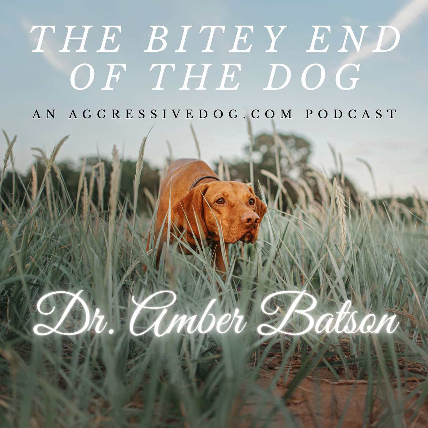 Dr. Amber Batson