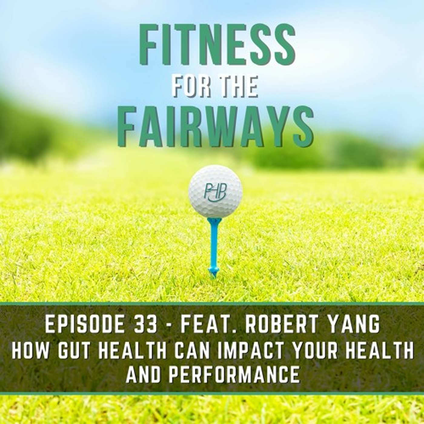 Episode 33: How Gut Health Can Impact Your Health and Performance episode artwork