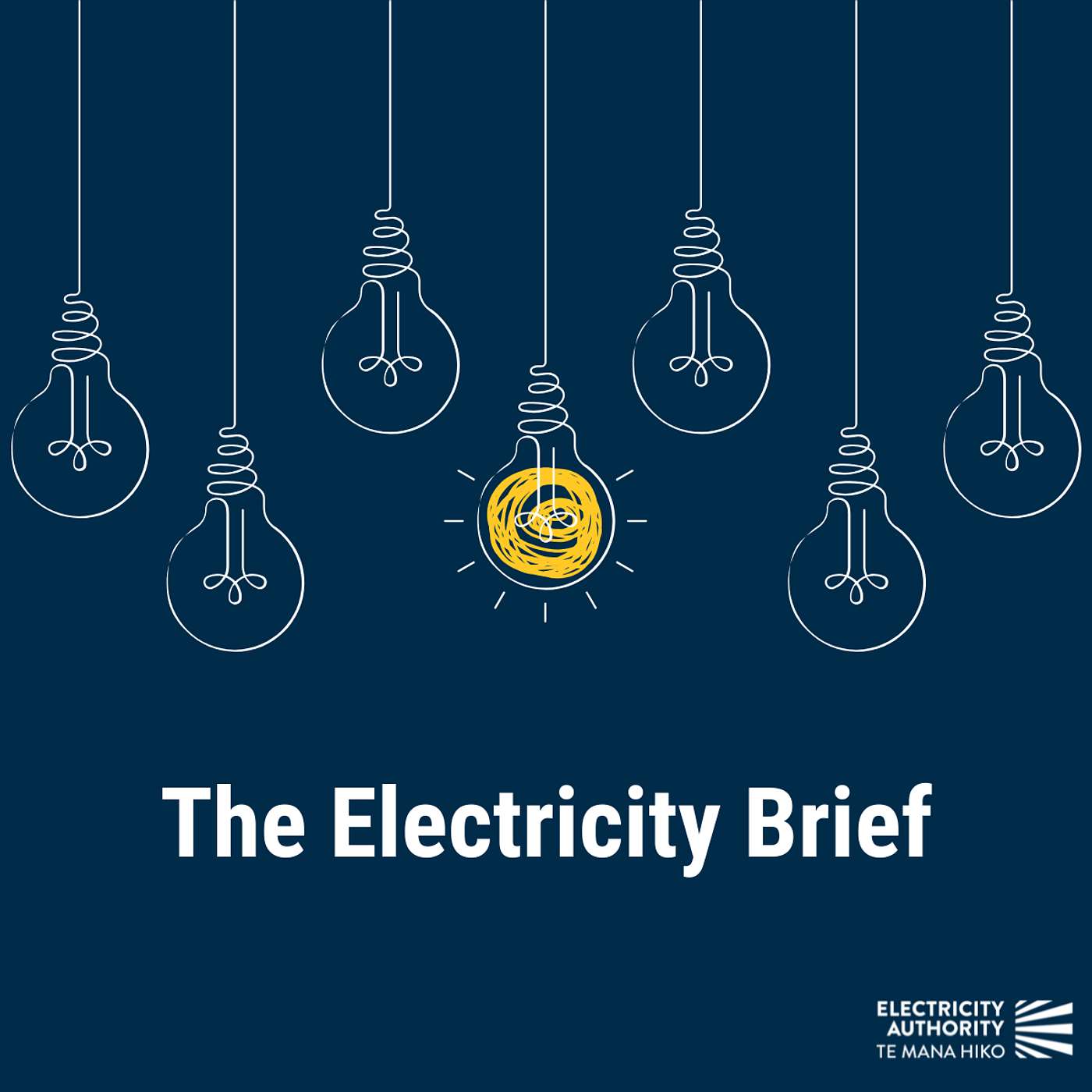 The Electricity Brief cover art
