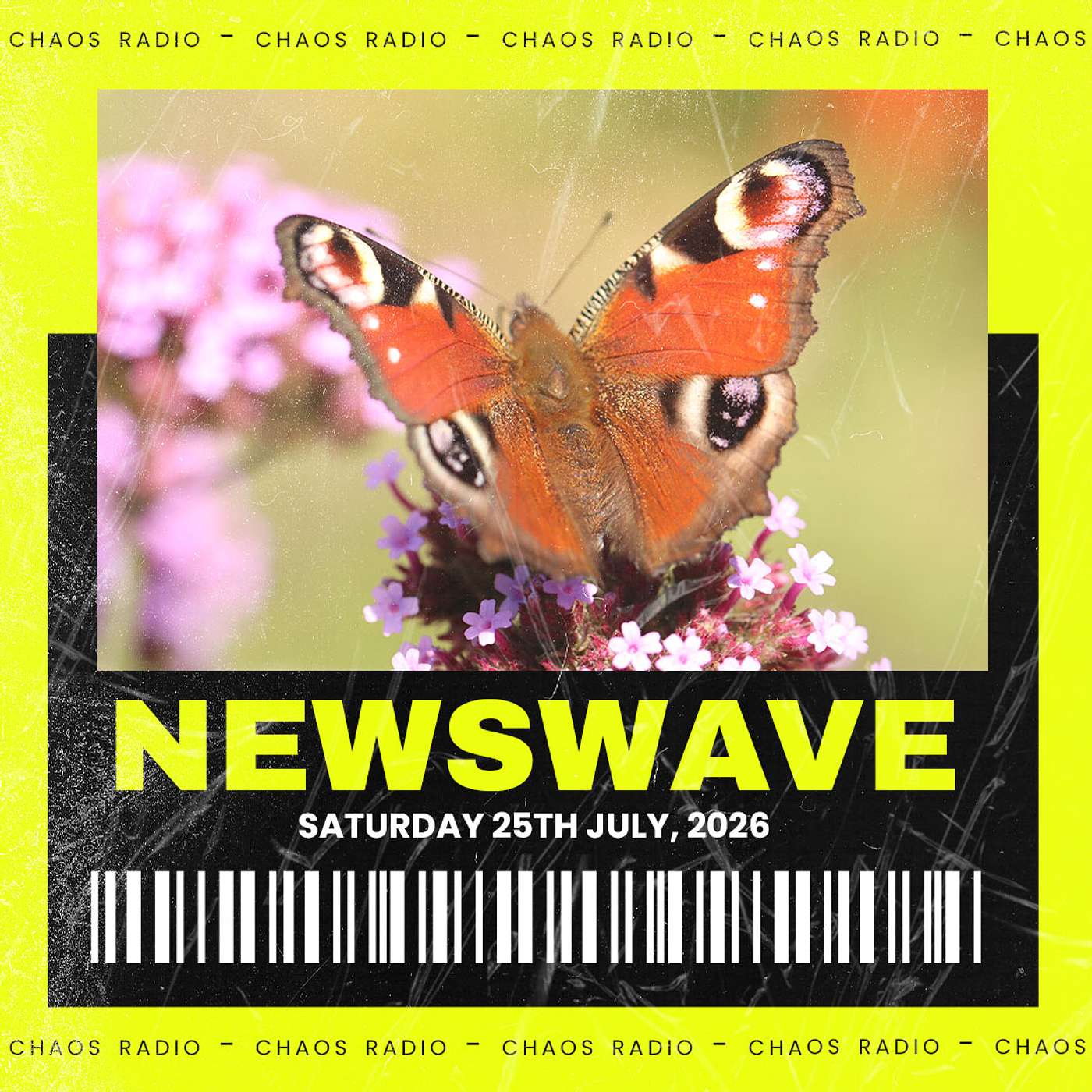NEWSWAVE - The Butterfly Effect episode artwork