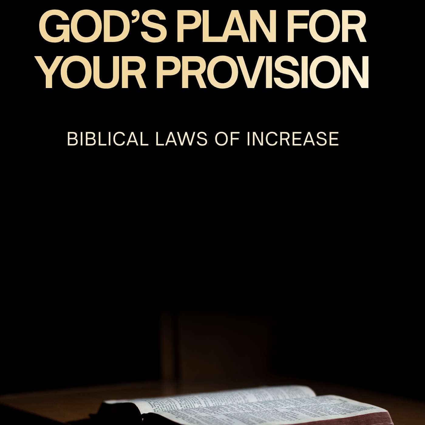 God’s Plan for your Provision: Biblical Laws of Increase episode artwork