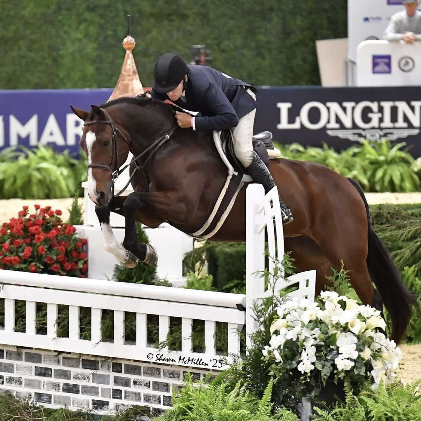 Episode 49: Daniel Geitner is Building a Unified Voice For Professionals with The United States  Equestrian Trainers Association