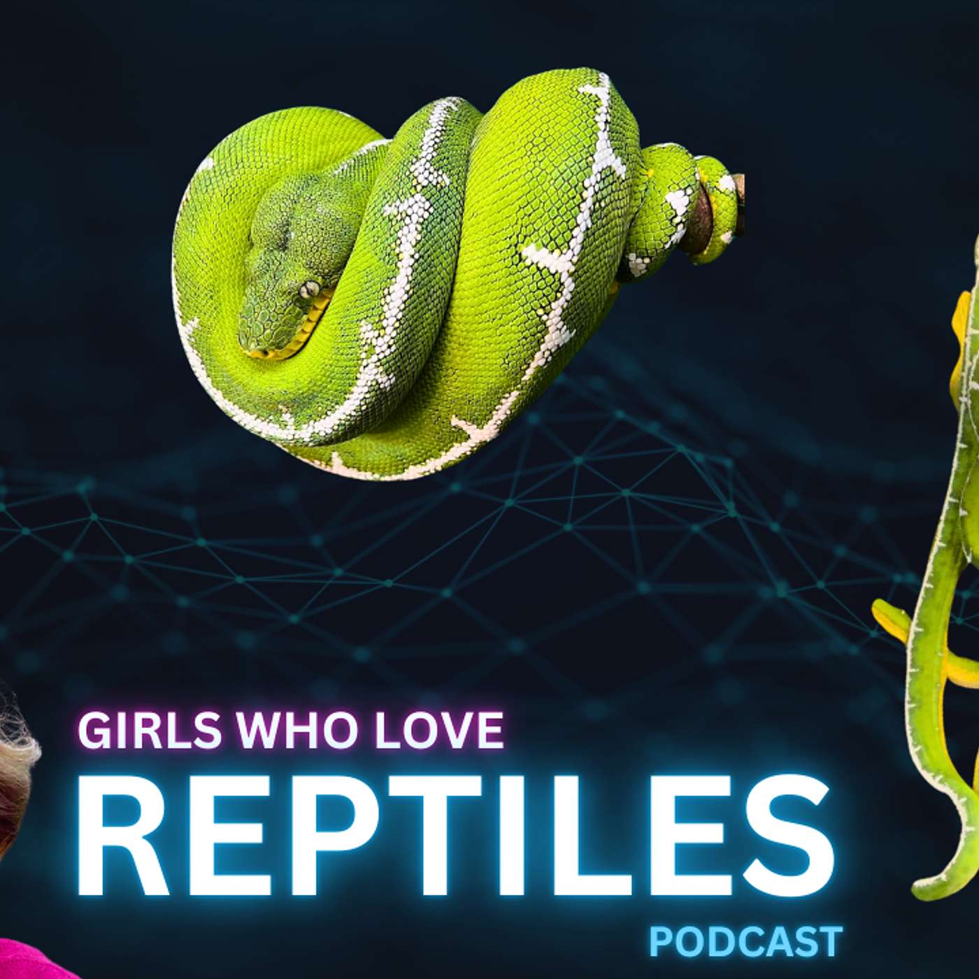Emerald Tree Boas: The Best Arboreal Snake Species? | Girls Who Love Reptiles Podcast Live