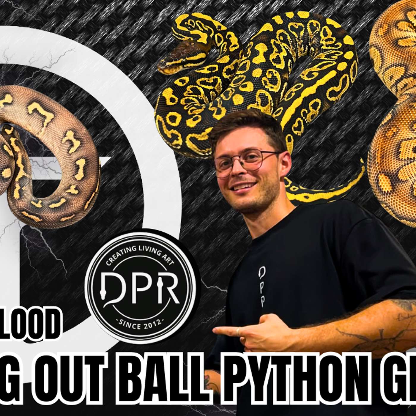 Proving Out A Ball Python Morph Without Any Shed Testing... Possible? | Trap Talk With MJ Live