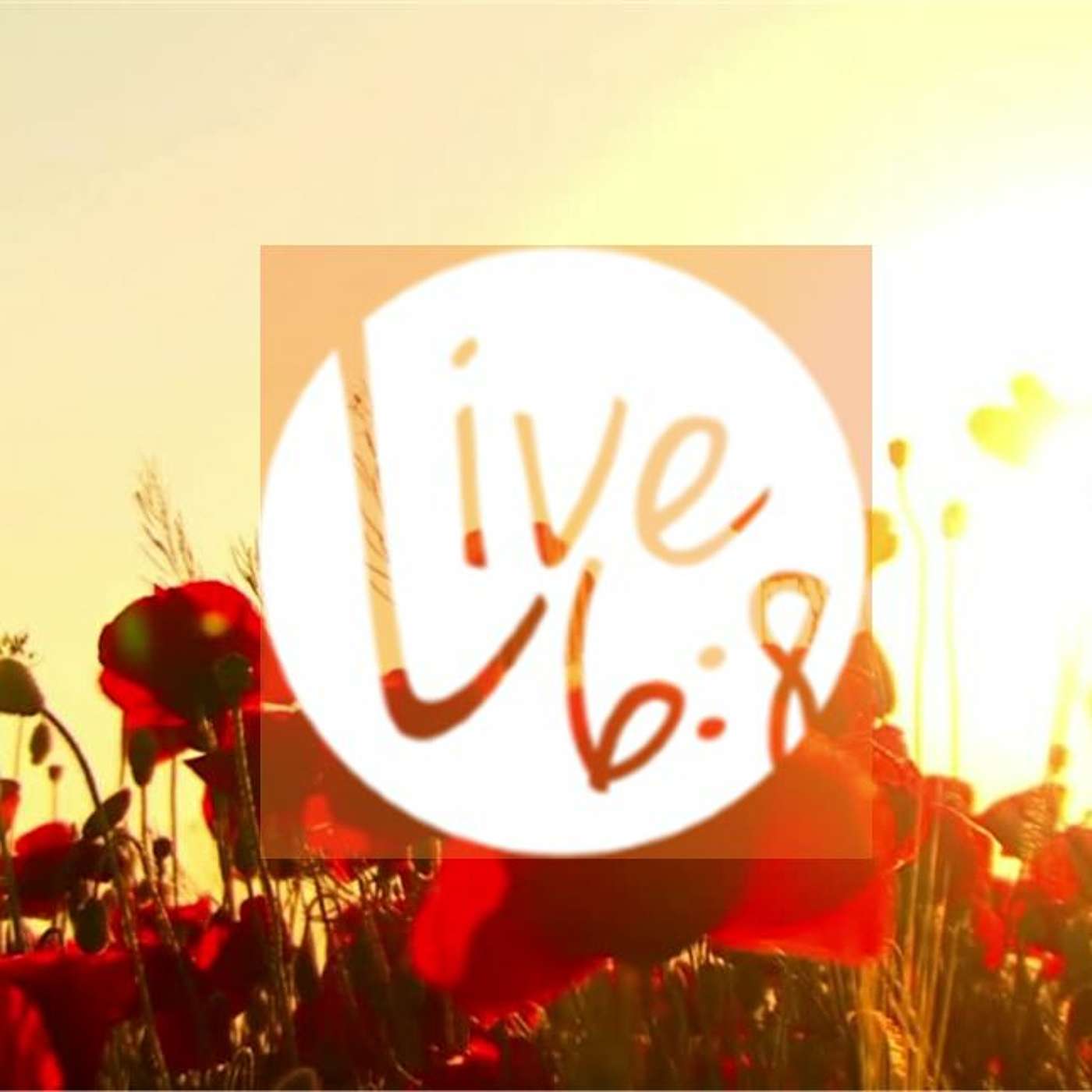 Remembrance Day: I'm Hopeful | Lindsay Anderson | Nov 8 2020 episode artwork