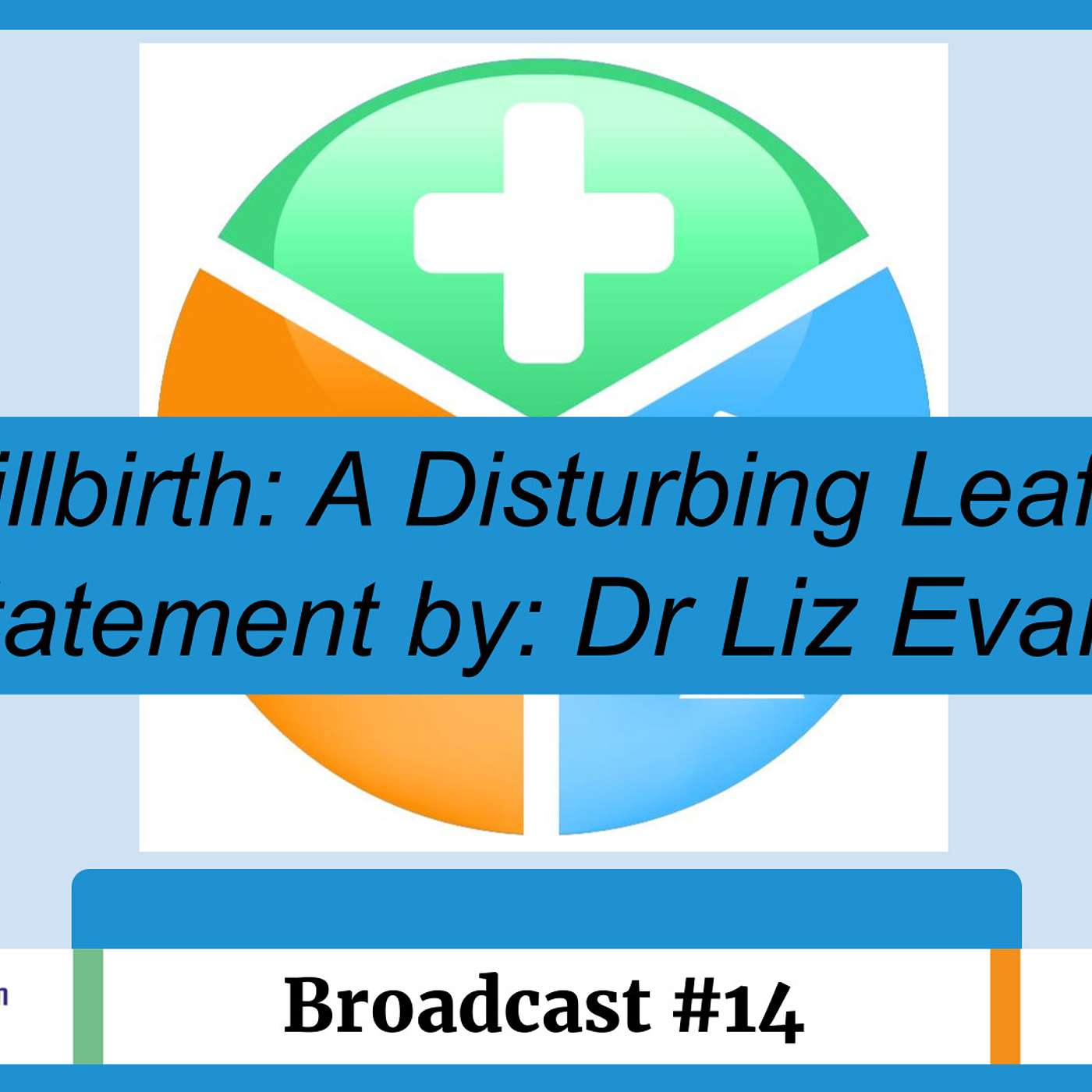 UK Medical Freedom Alliance: Broadcast #14 - Stillbirth: Disturbing Leaflet Statement by: Liz Evans episode artwork