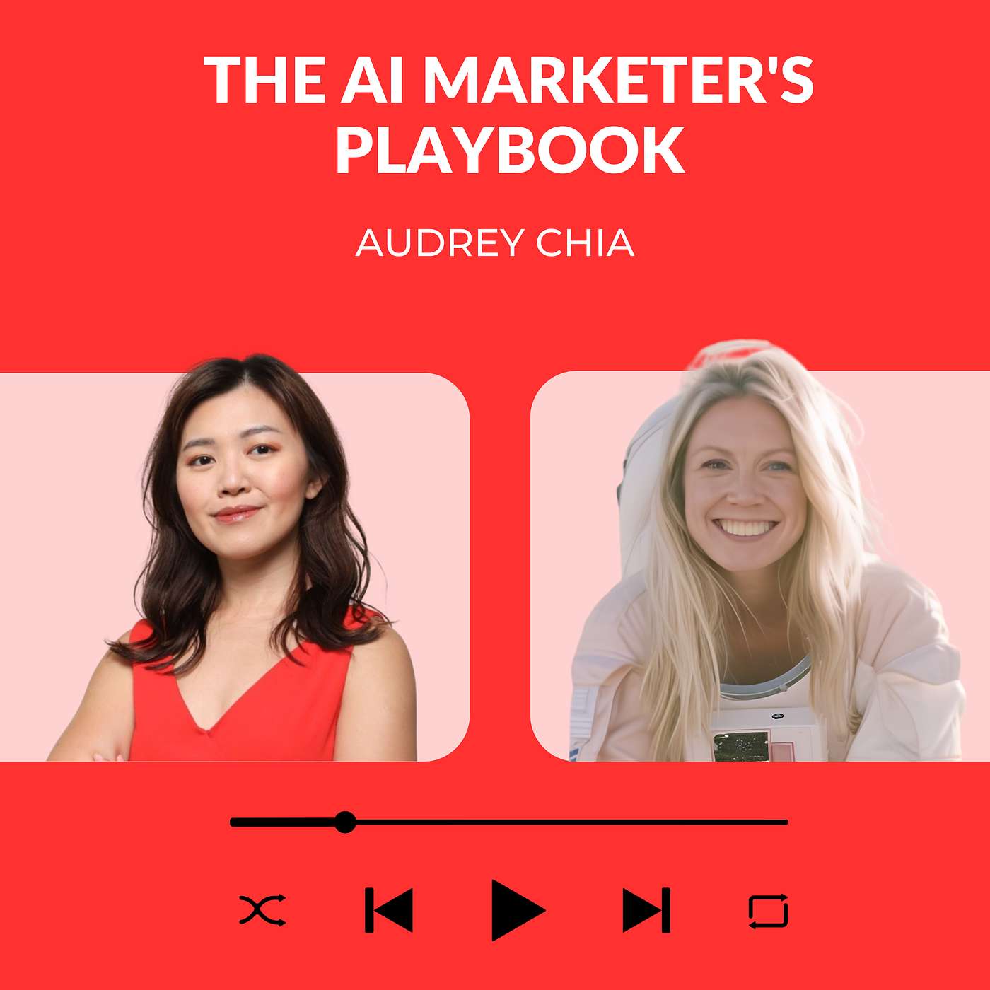 The AI Marketer\'s Playbook
