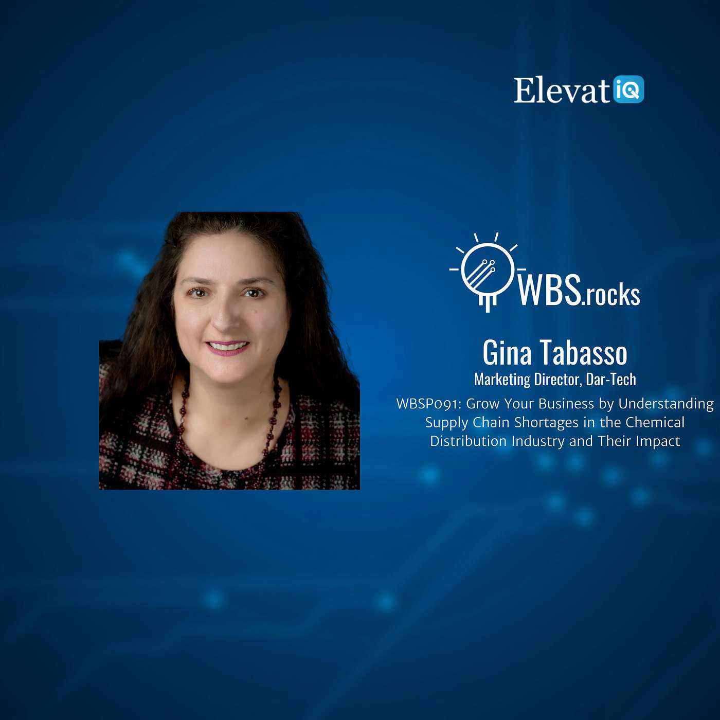 WBSP091: Grow Your Business by Understanding Supply Chain Shortages in the Chemical Distribution Industry and Their Impact w/ Gina Tabasso