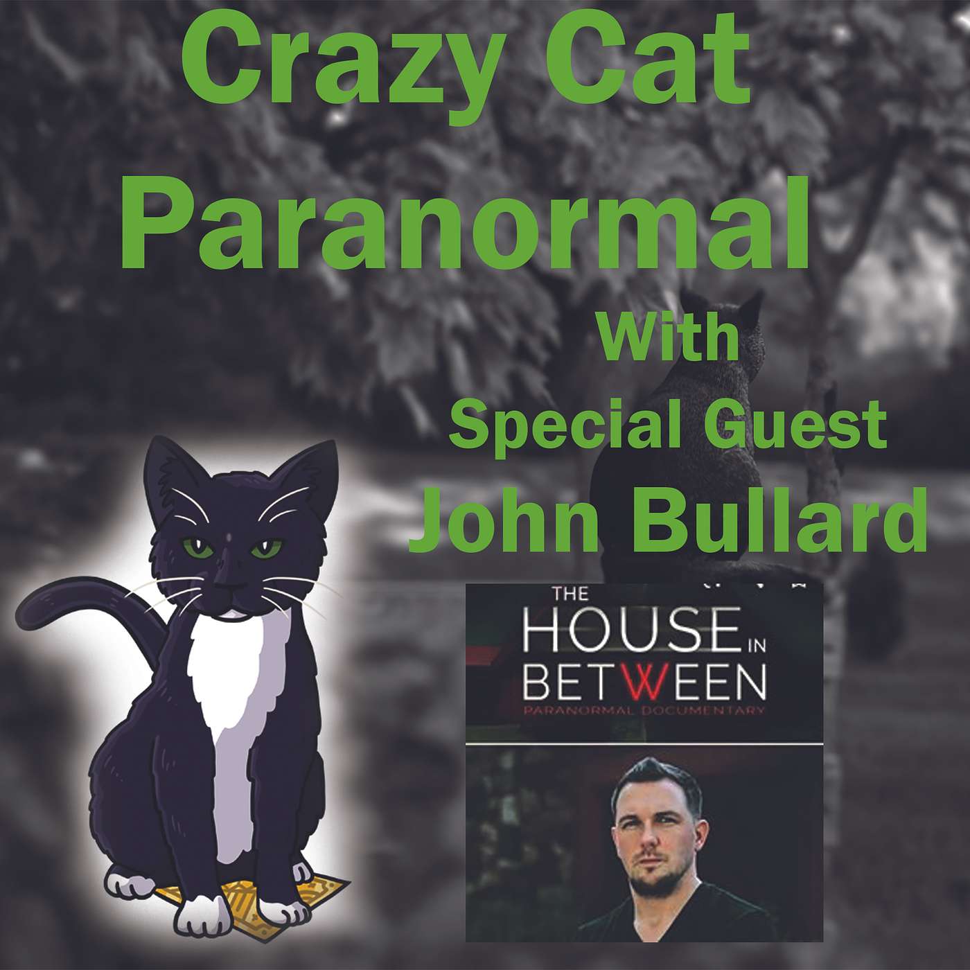 Crazy Cat Paranormal Speaks