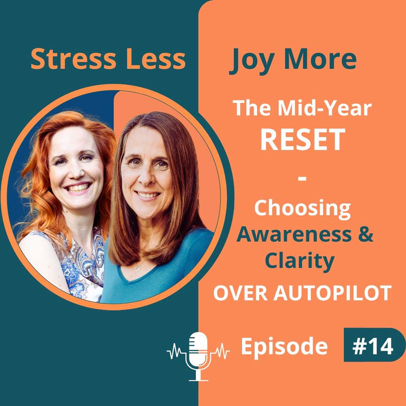 #14 The Mid-Year Reset: Choosing Awareness & Clarity Over Autopilot episode artwork