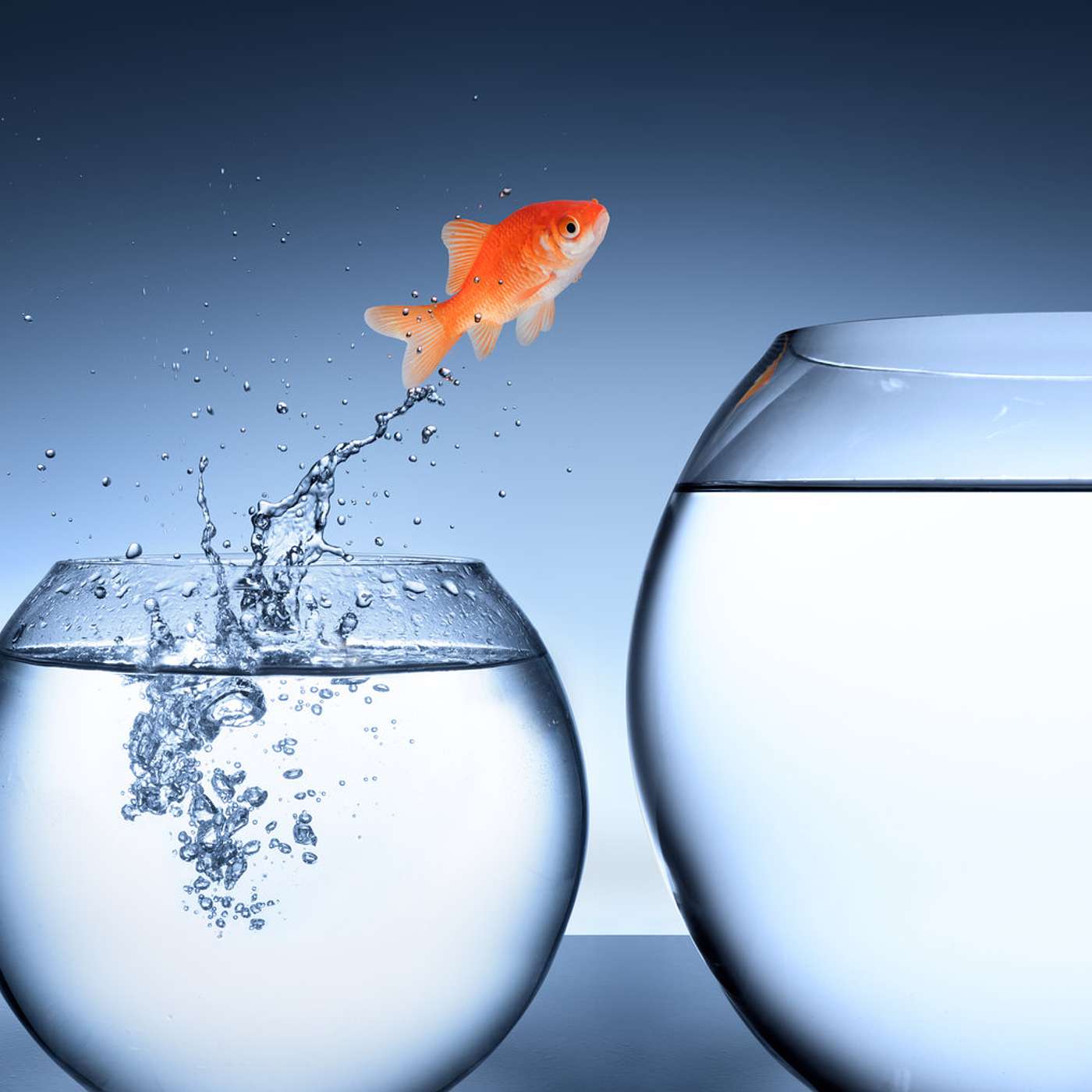13: Getting Out of Your Comfort Zone