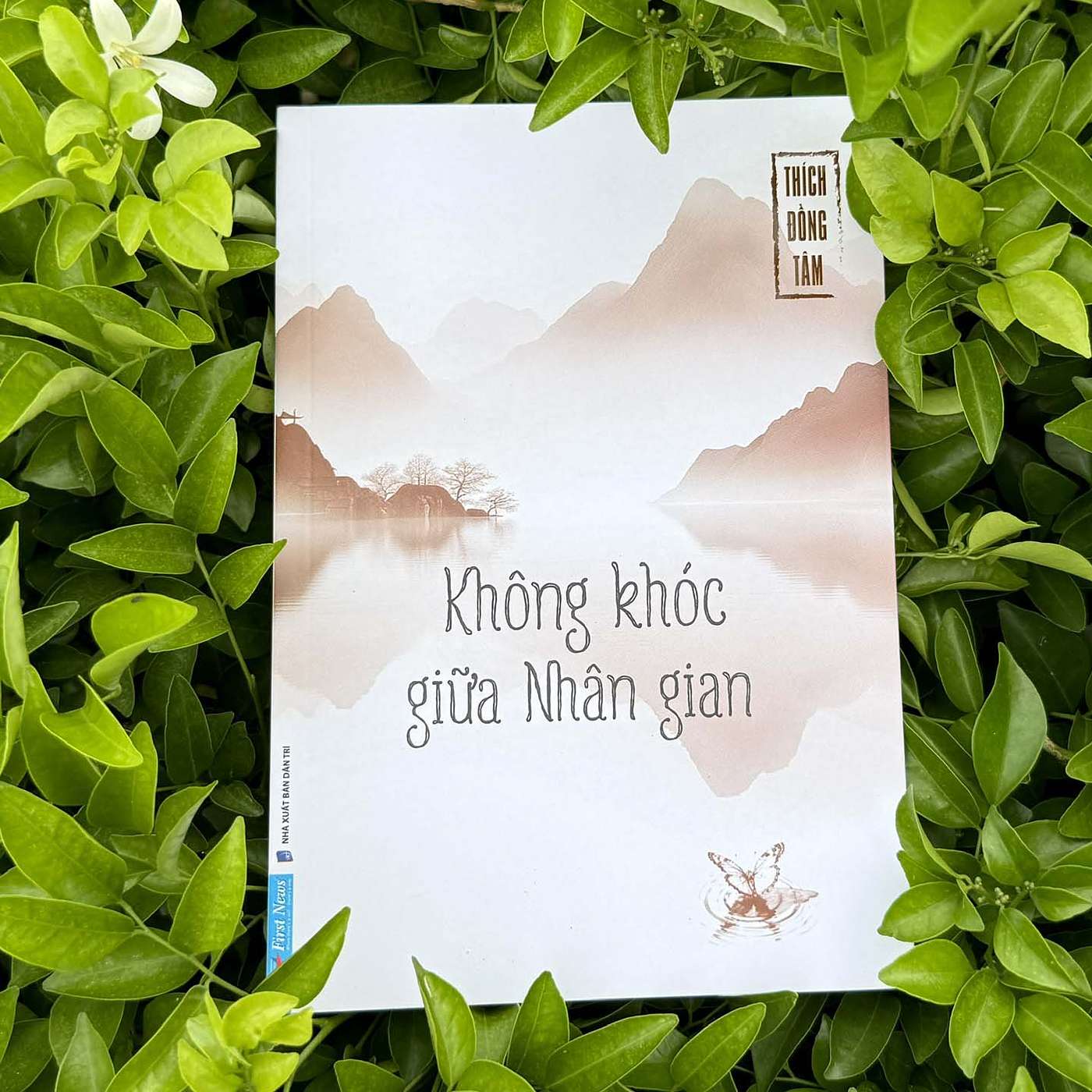 Không khóc giữa nhân gian episode artwork