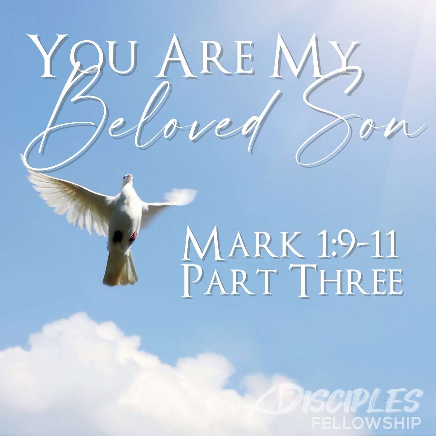 You Are My Beloved Son, Part 3; Mark 1:9-11