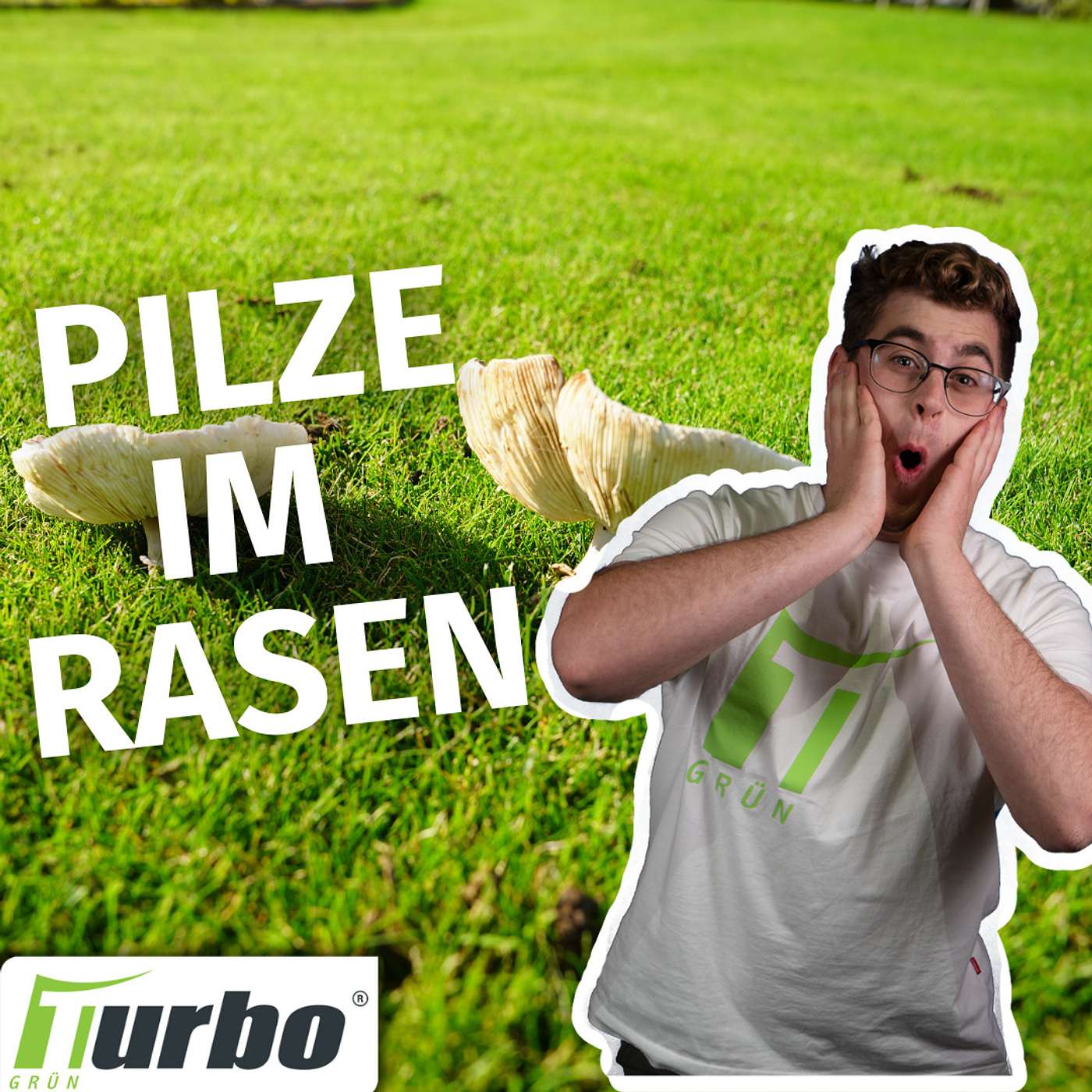 turbogrün | Rasentipps für unterwegs