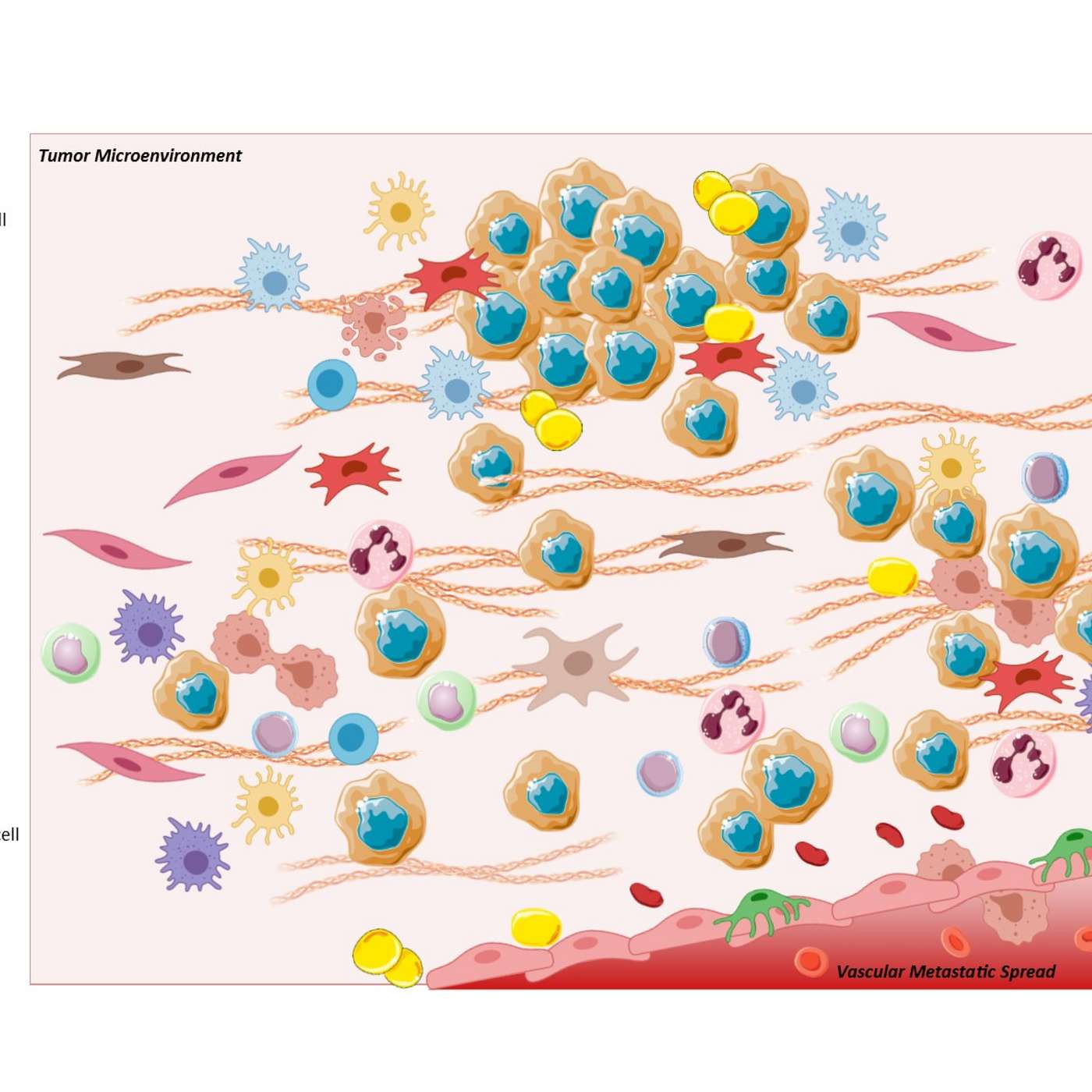 Cancer as a Narrator in Maps of Our Spectacular Bodies with Dr. Laurel Lyckholm episode artwork