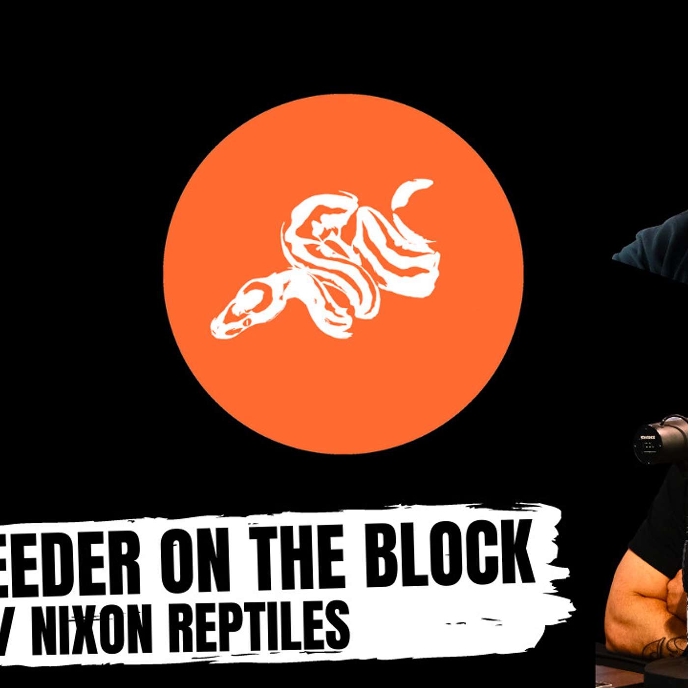 How NOT to get burnt out of breeding Ball Pythons | New Breeder On The Block