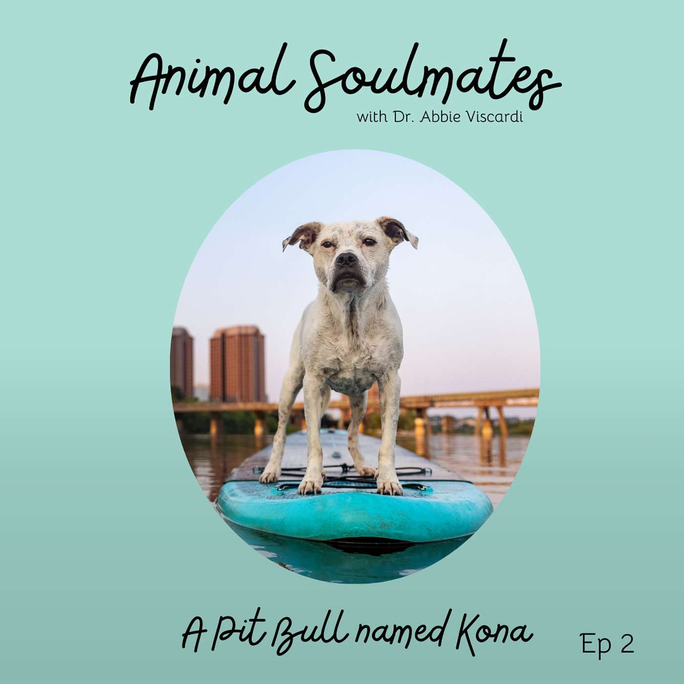 Animal Soulmates