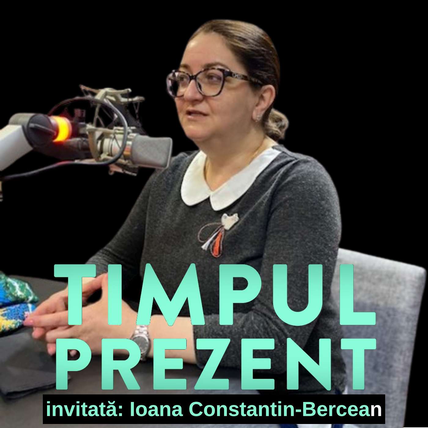 Ioana Constantin-Bercean: „În acest moment, soluţia celor două state pare la fel de apropiată şi la fel de îndepărtată în acelaşi timp” episode artwork