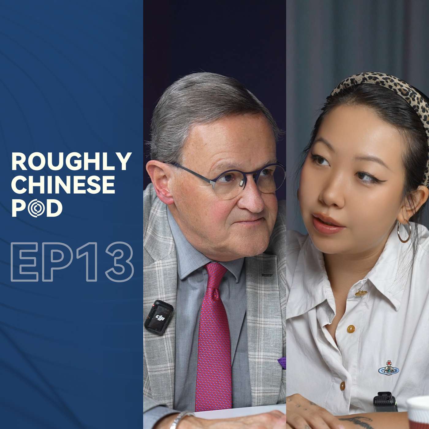 Rethinking Global Security: A Conversation with Peace Expert Dr. Jan Oberg | Roughly Chinese Pod EP13
