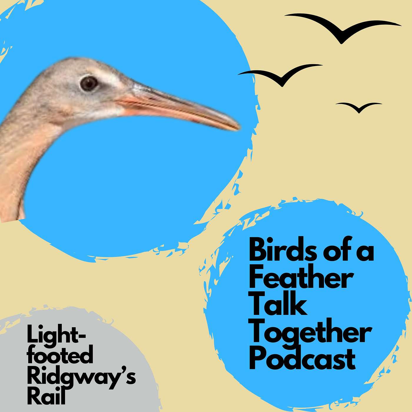 Birds of a Feather Talk Together