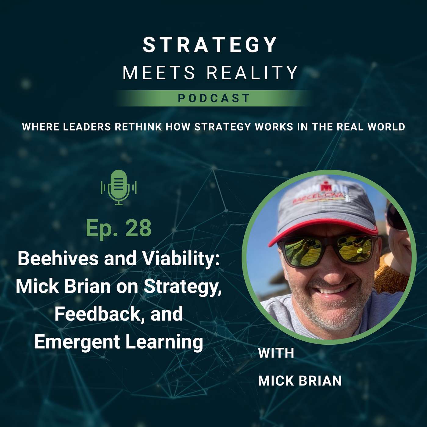 Beehives and Viability: Mick Brian on Strategy, Feedback, and Emergent Learning