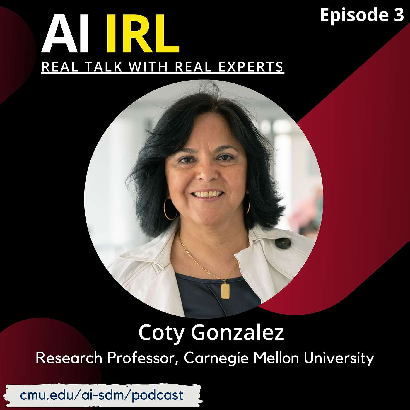 AI in Real Life: Real Talk with Real Experts