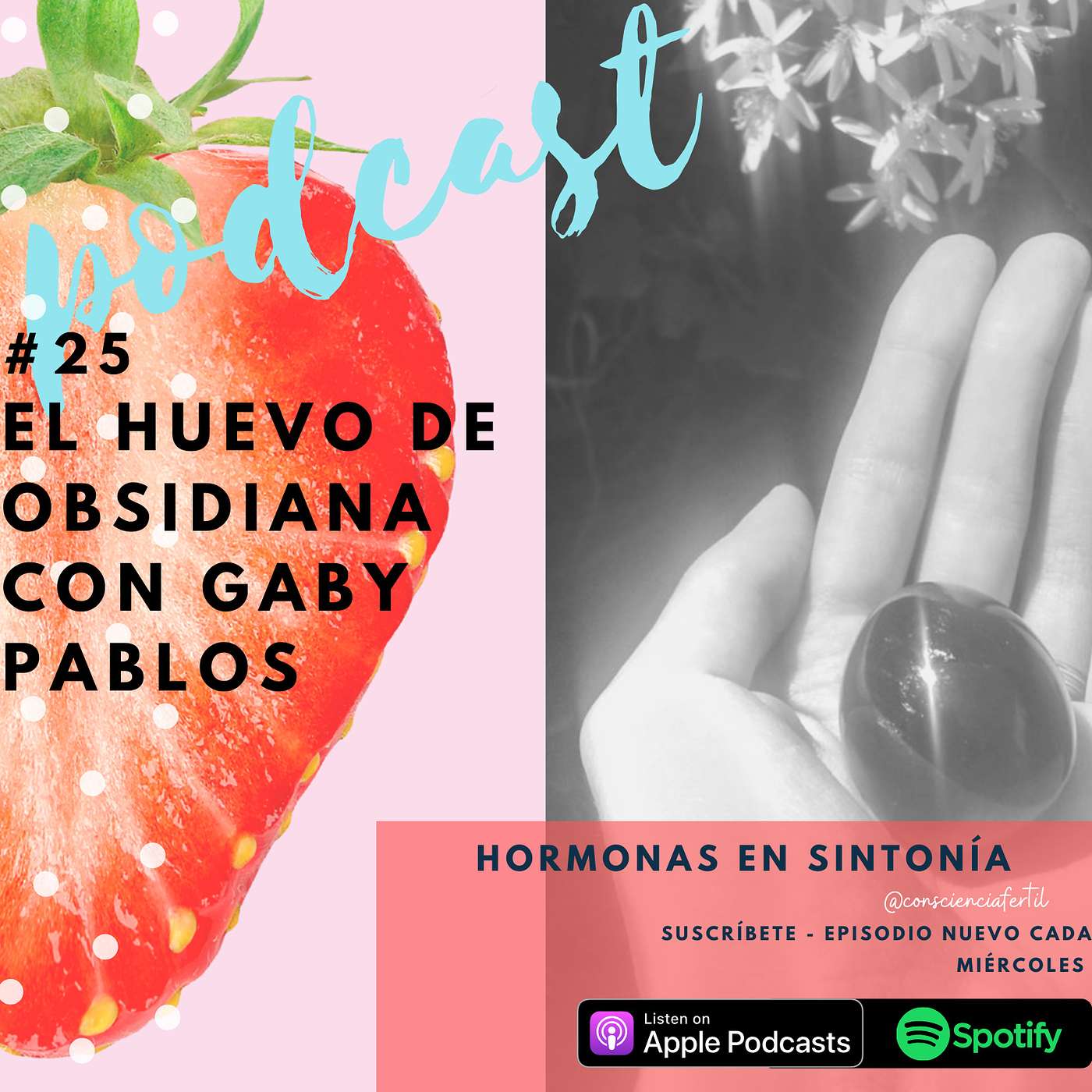 Hormonas en Sintonía