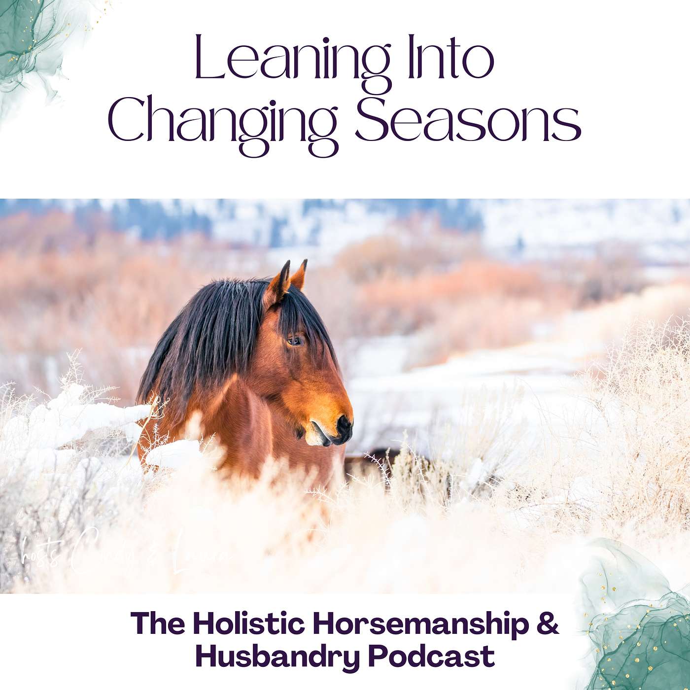 # 40 A New Perspective On Winter With Horses