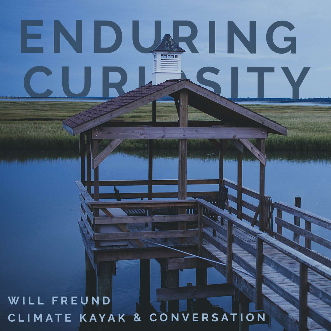 Enduring Curiosity