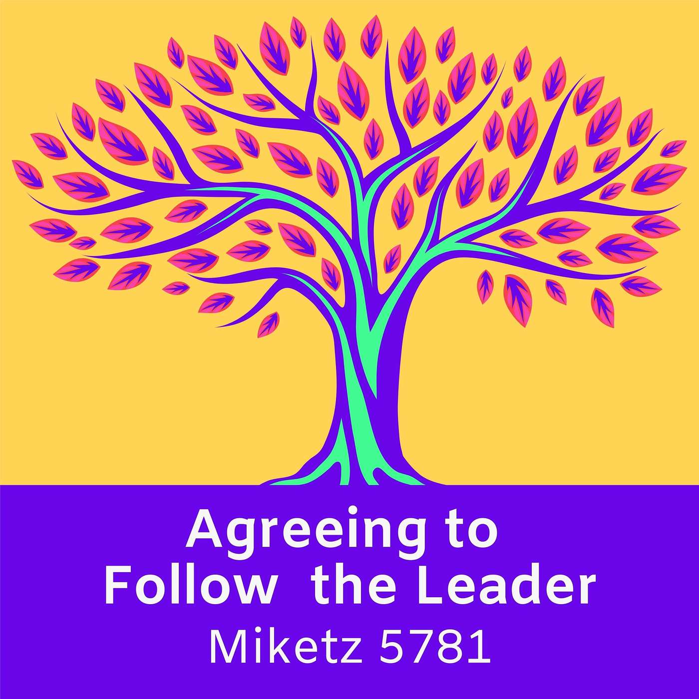 Modern Torah