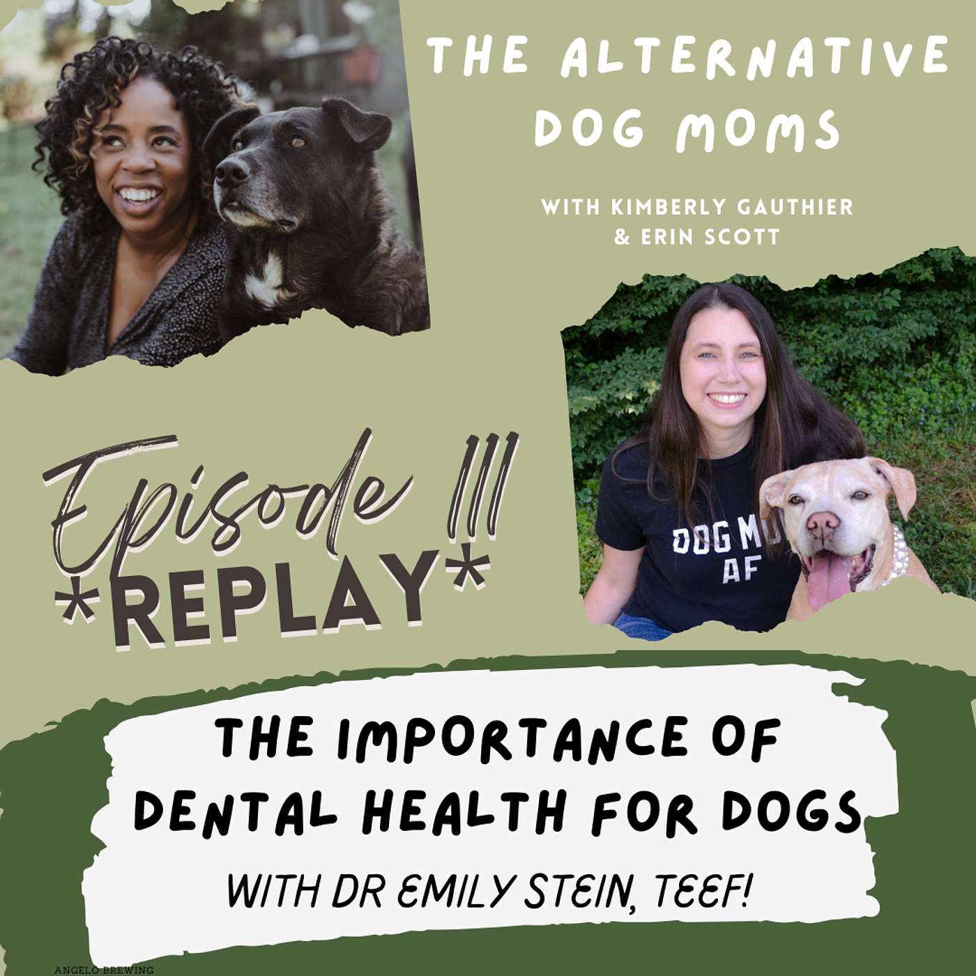 REPLAY: Dental Health for Dogs with Dr. Emily Stein and the Benefits of TEEF